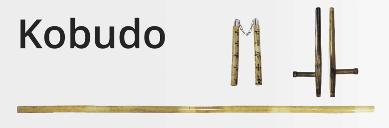 kobudo-weapon-martial-art-style
